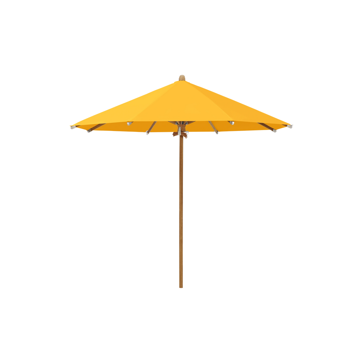 Glatz Teakwood Sonnenschirm SQ5: 514 Corn